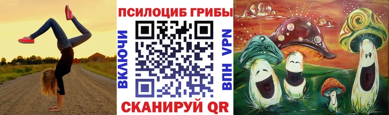 купить закладку  Уварово  Галлюциногенные грибы мицелий 